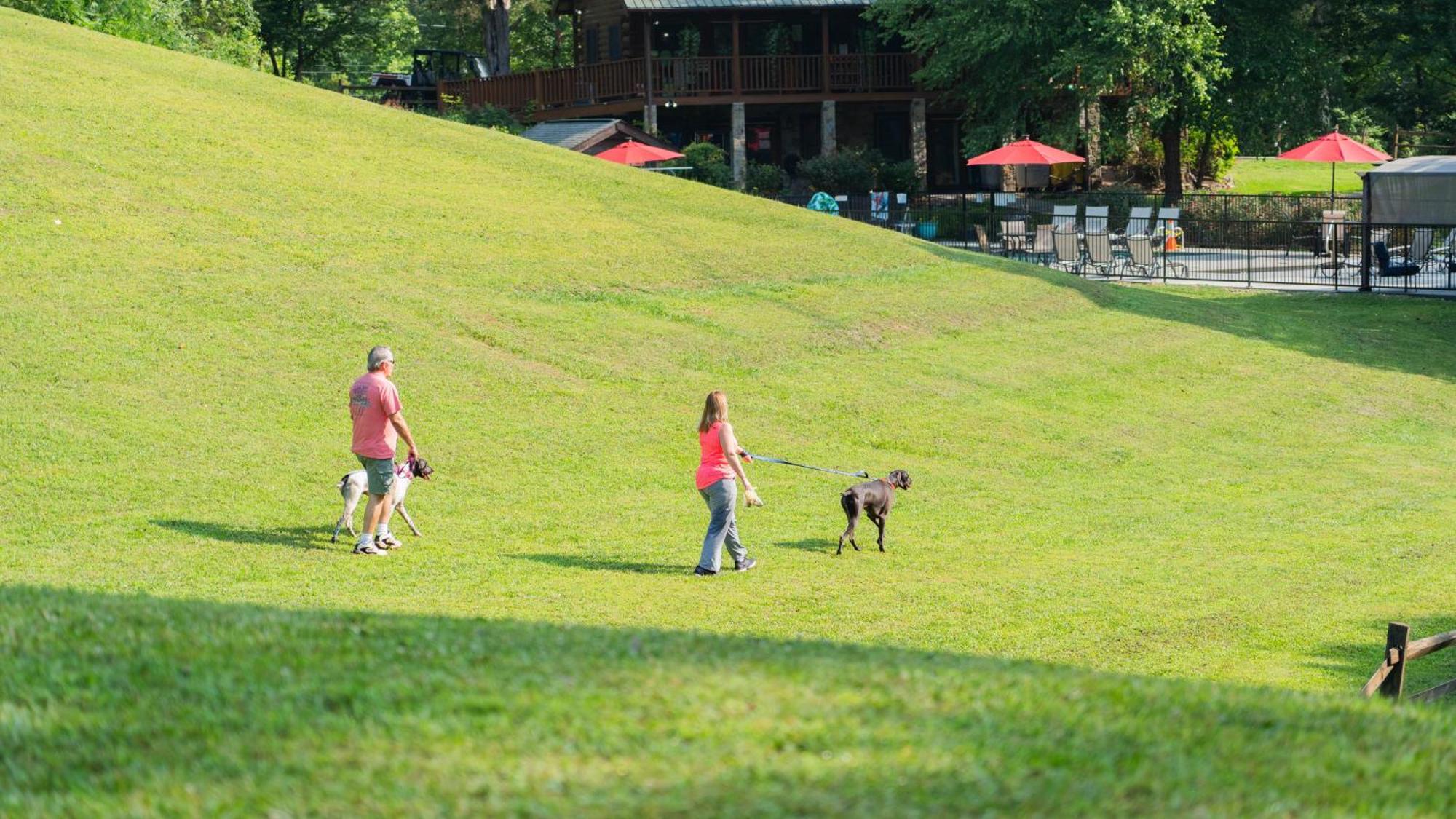 Thunder Mountain Villa Sevierville Dış mekan fotoğraf