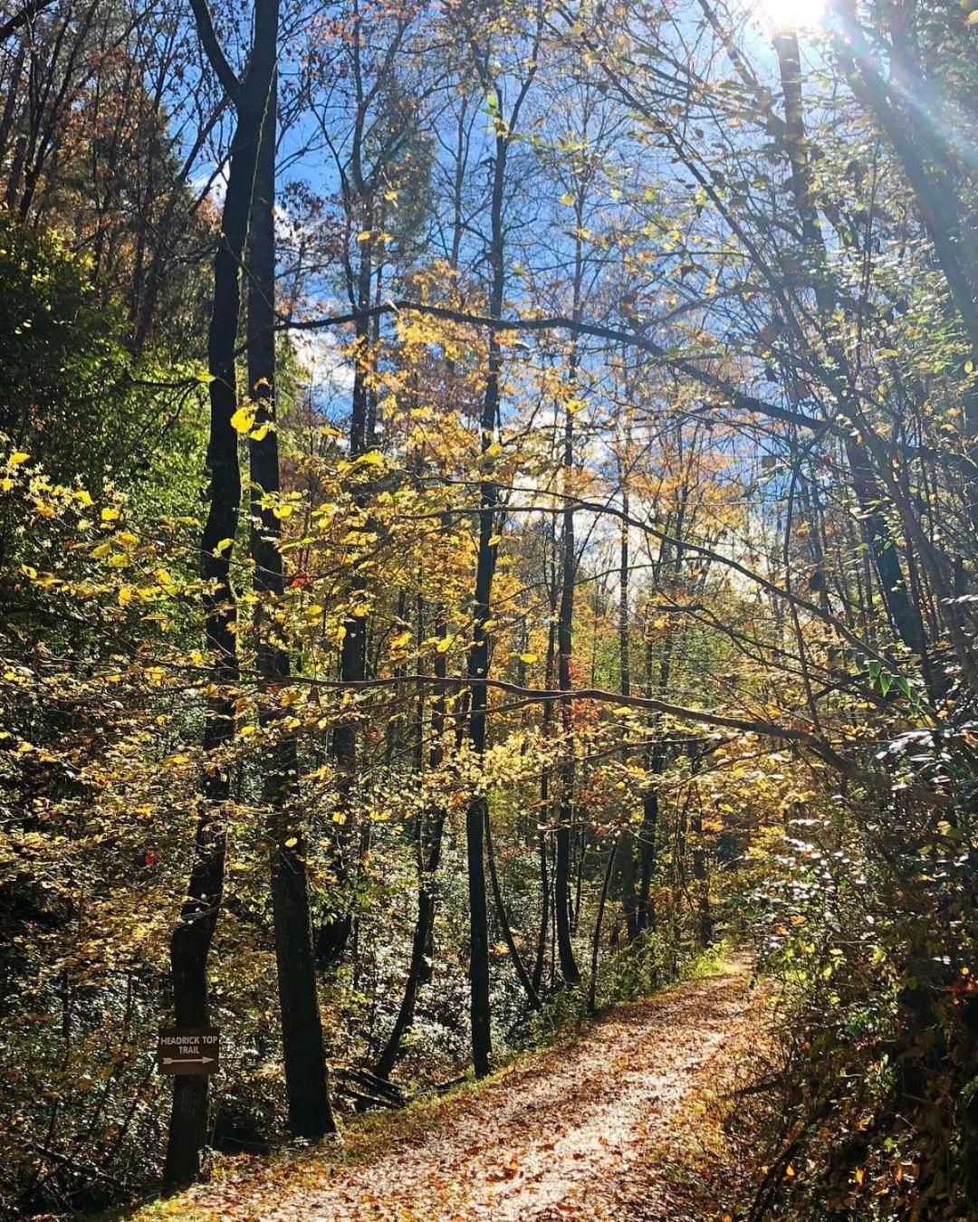 Thunder Mountain Villa Sevierville Dış mekan fotoğraf